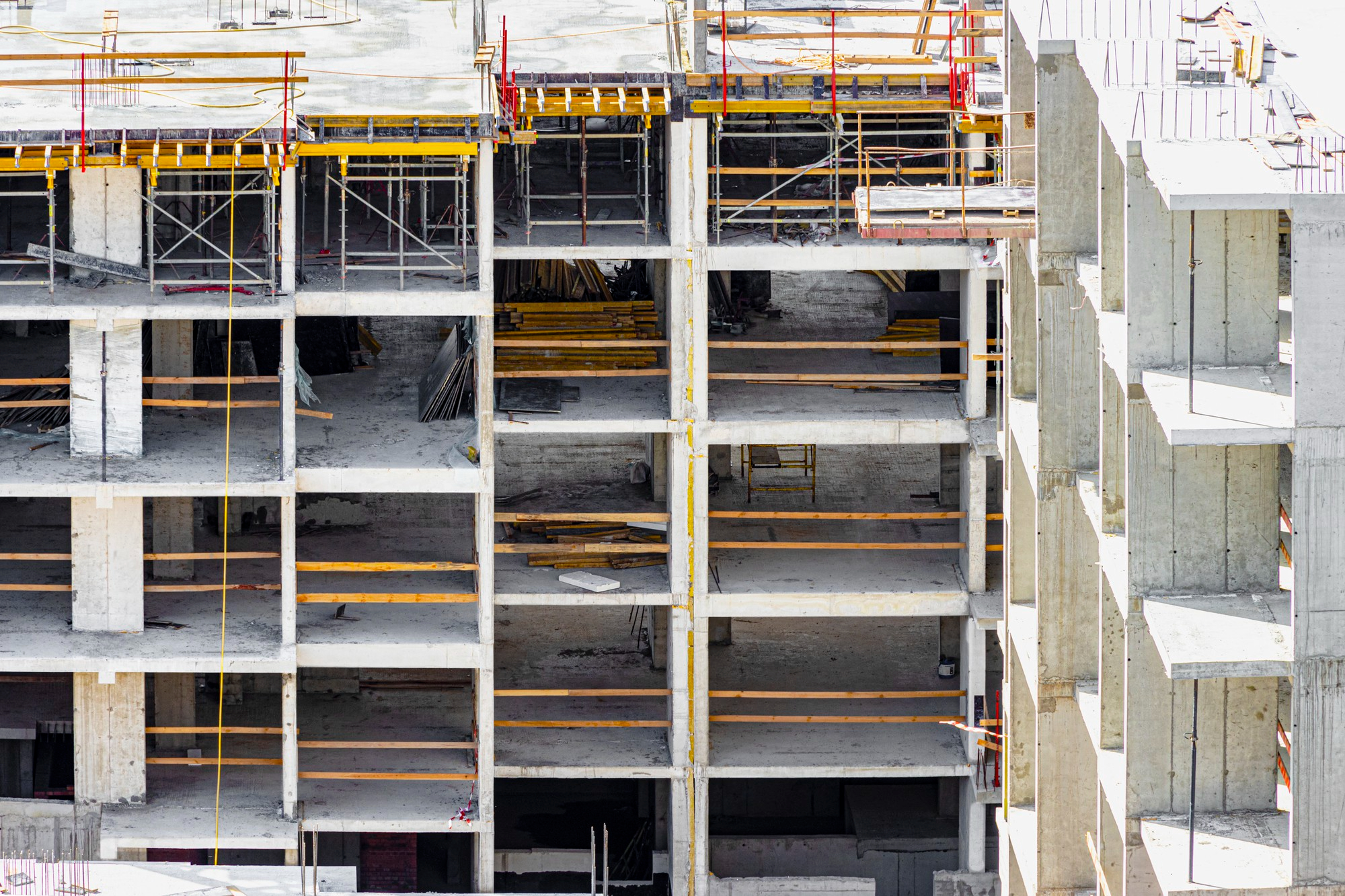 ΩΠΛΙΣΜΕΝΟ ΣΚΥΡΟΔΕΜΑ ΩΠΛΙΣΜΕΝΟ ΣΚΥΡΟΔΕΜΑ